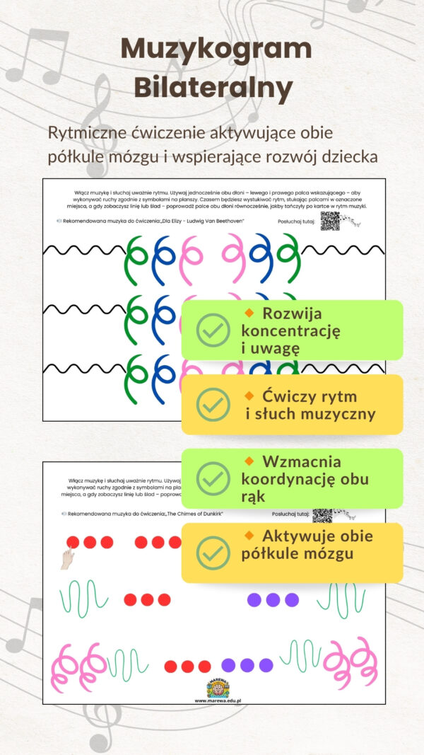 Neurokarty – Synergia Mózgu