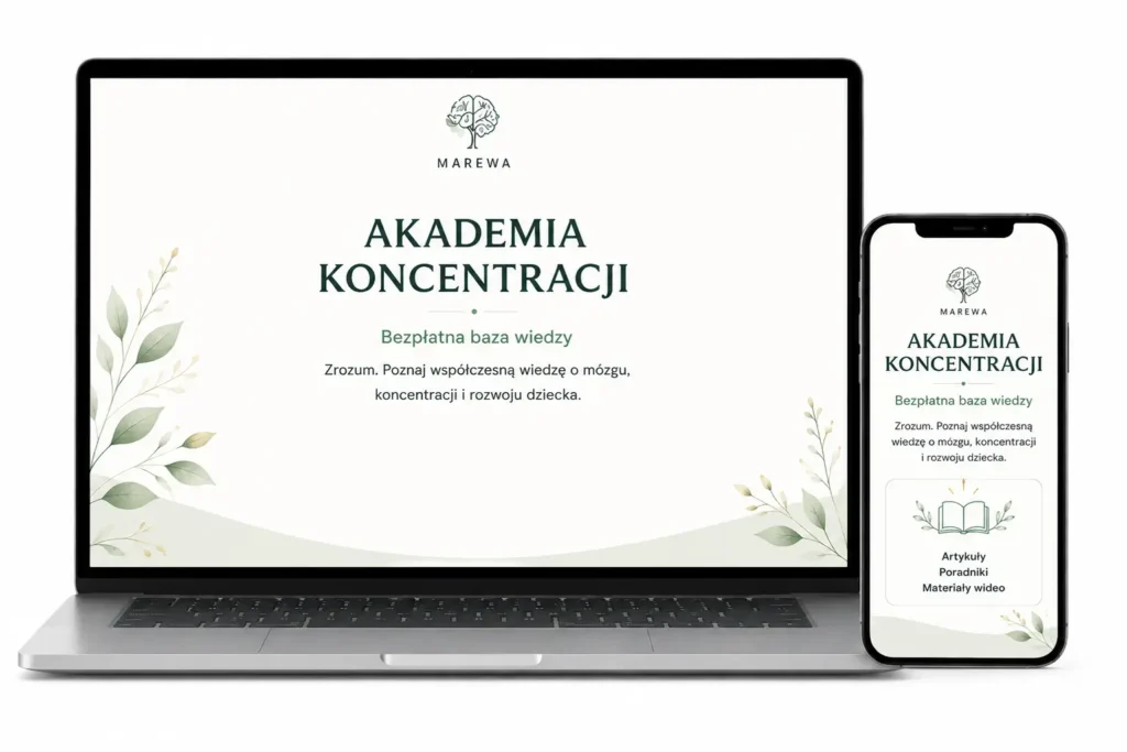 pomoce_edukacyjne_koncentracja